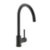 Carron Phoenix Savoy Single Lever Kitchen Tap - Matt Black - 115.0605.320 -Kitchen Shop 115.0605.320v1